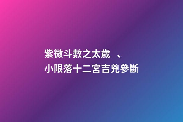 紫微斗數之太歲、小限落十二宮吉兇參斷